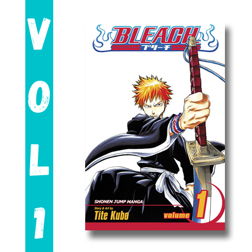 BLEACH Manga Volume 10