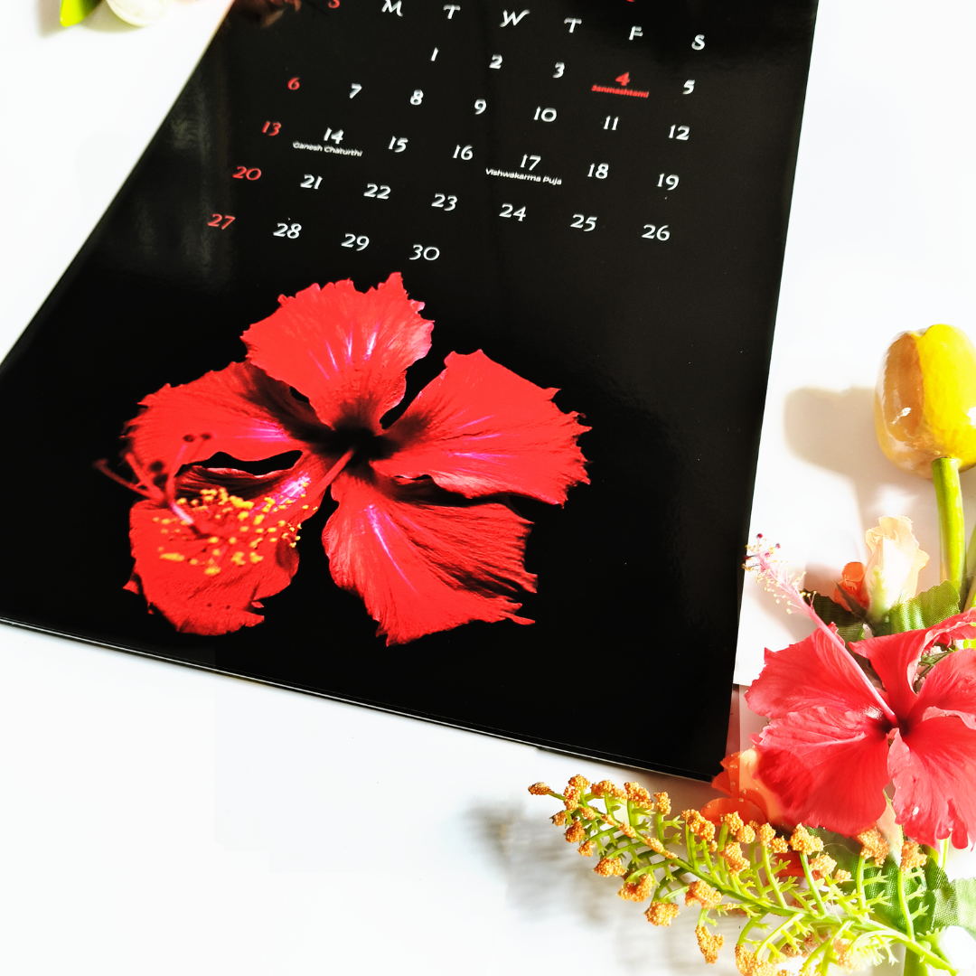 Bloom In Black 2026 Wall Calendar