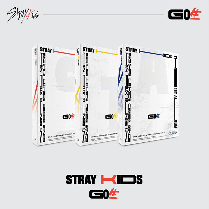 Stray Kids - Go Live