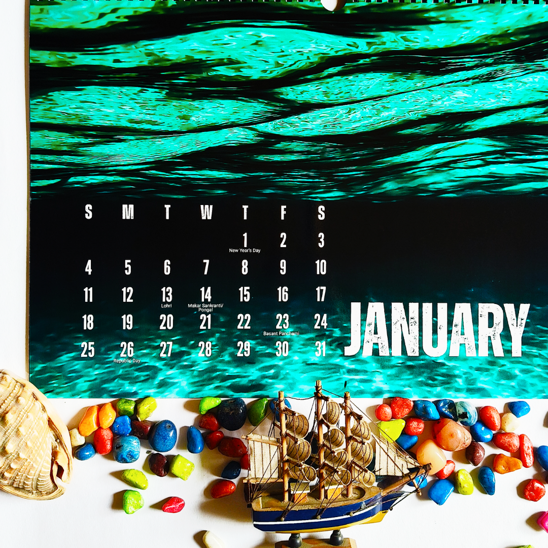 Under The Sea 2026 Wall Calendar