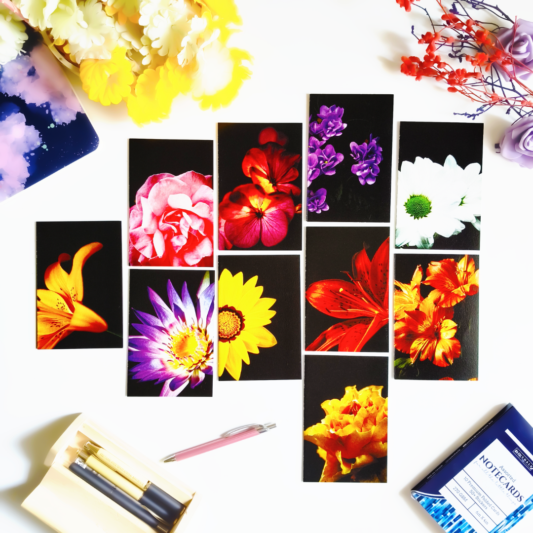 INKCHALK Bloom In Black | Set of 10 (6x4in) Folded Note Cards | 50+ Stickers