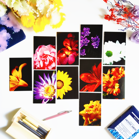 INKCHALK Bloom In Black | Set of 10 (6x4in) Folded Note Cards | 50+ Stickers