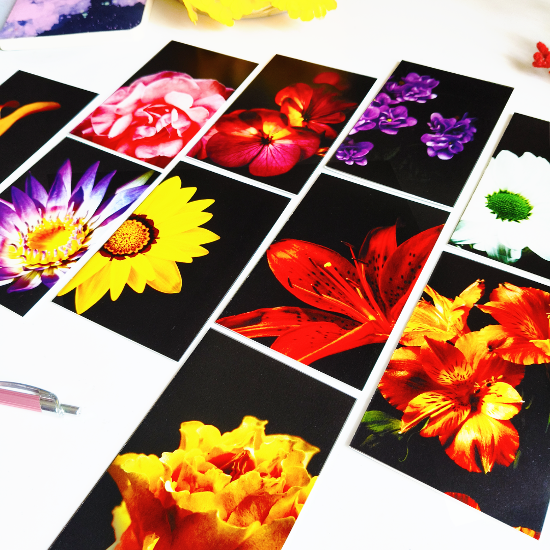 INKCHALK Bloom In Black | Set of 10 (6x4in) Folded Note Cards | 50+ Stickers